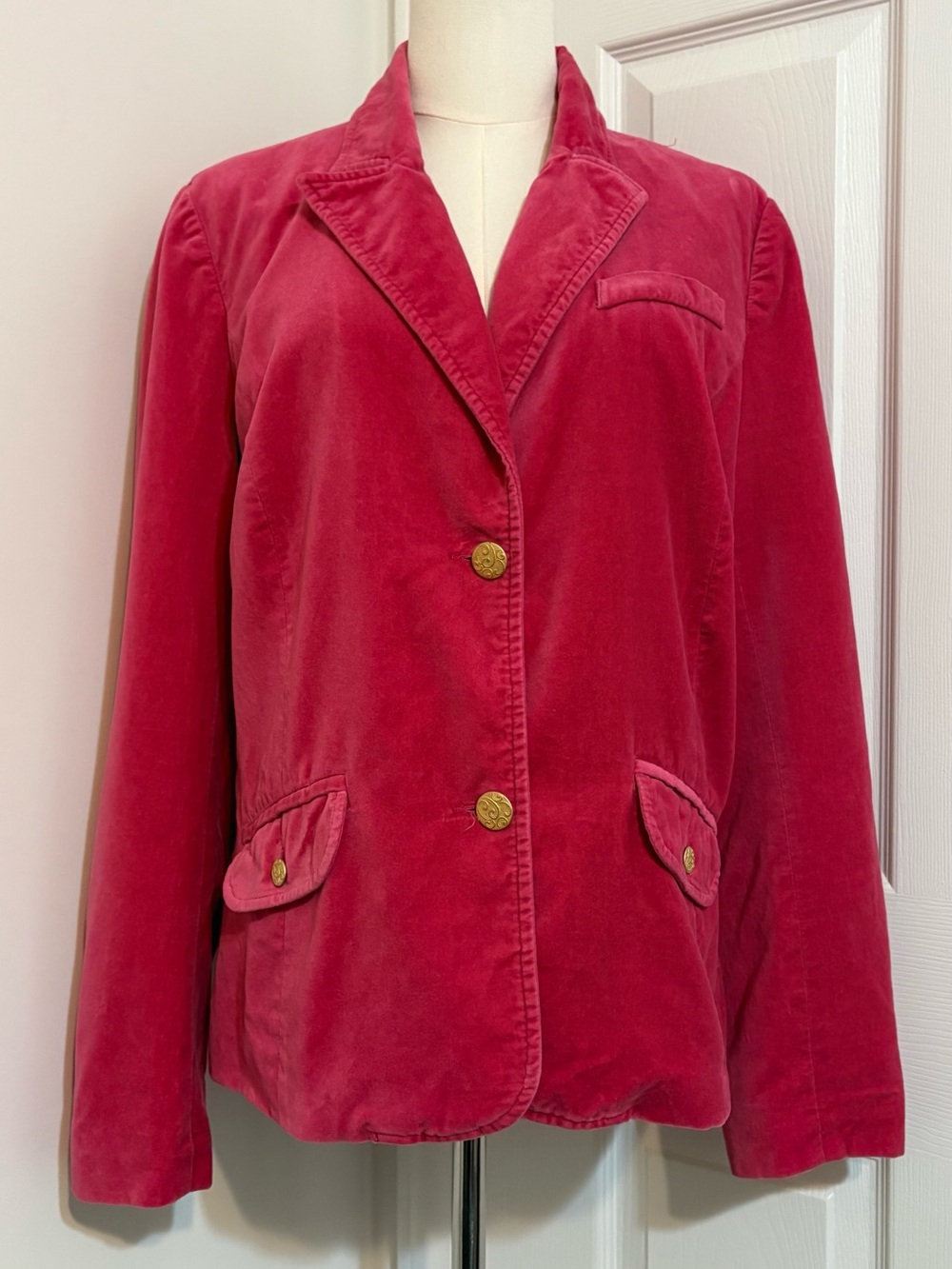 OLD NAVY, Velvet Raspberry Blazer with Paisley Lining